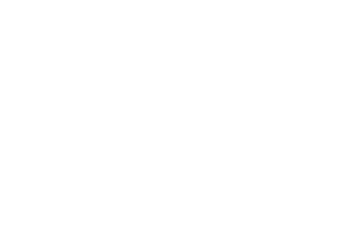 logo plaid partners