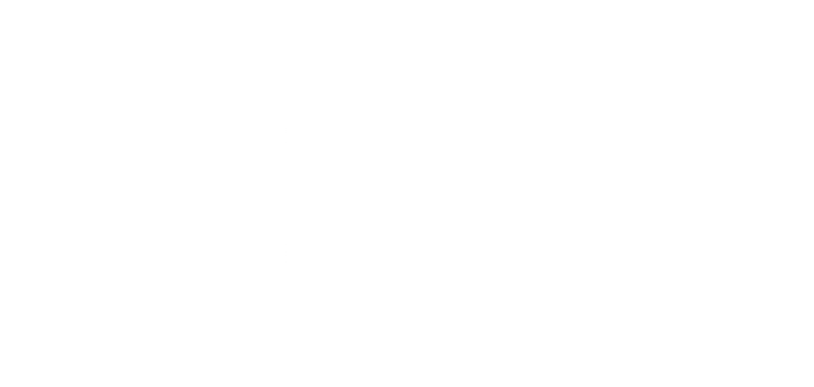 partners with stripe
